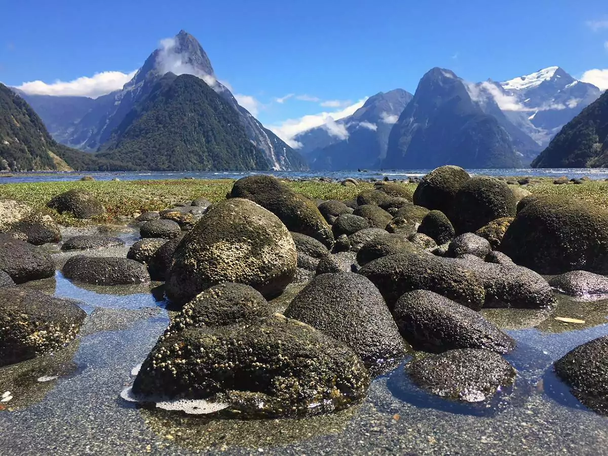 mitre-peak-milford-sound.jpg